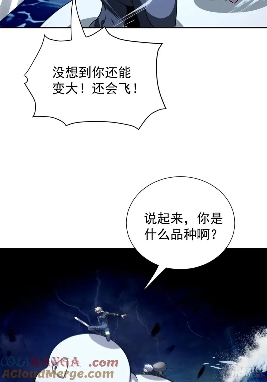 飞上天和太阳肩并肩 第13页