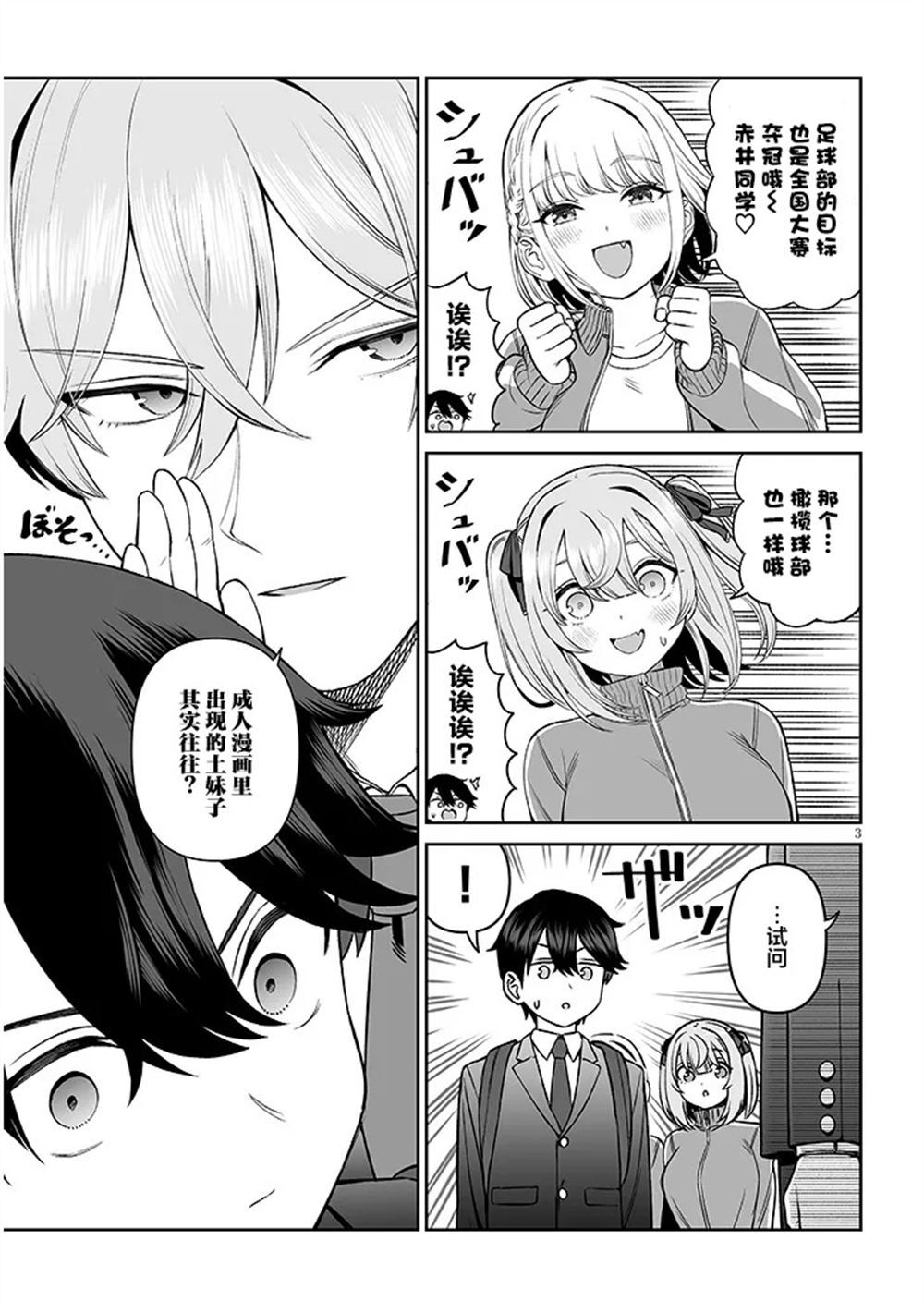 17 第3页