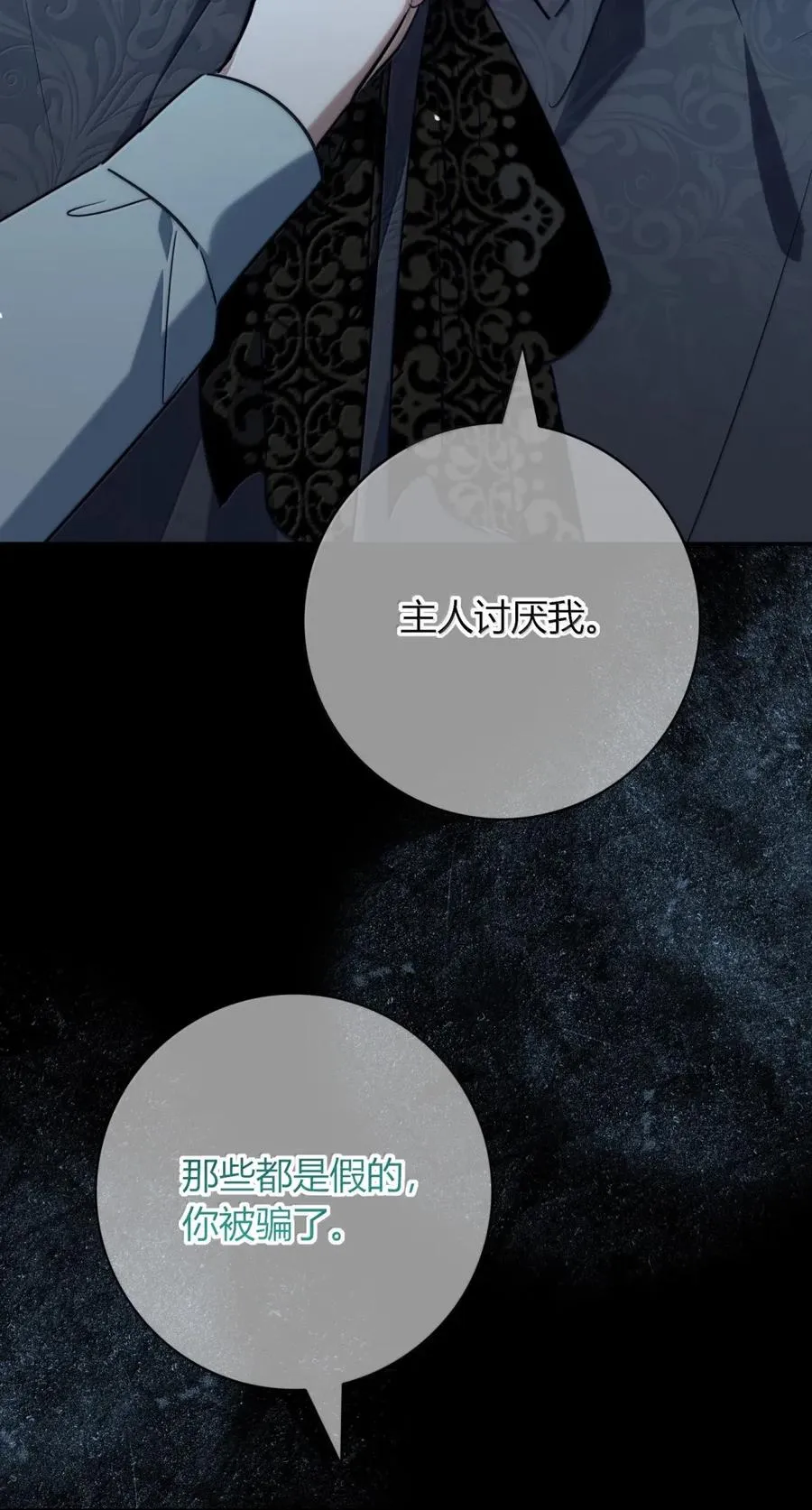 019 假的 第5页