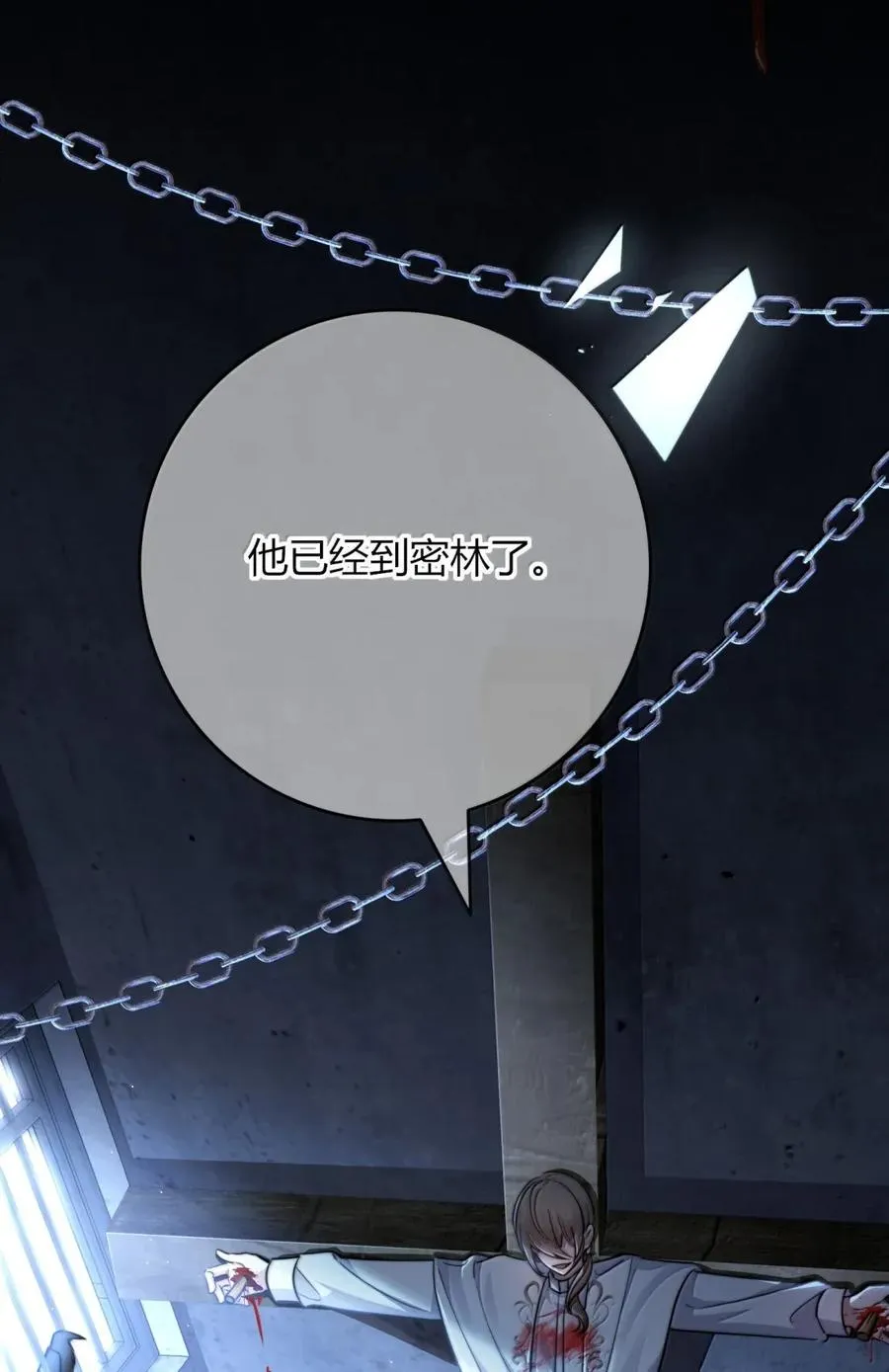 020 禁咒密林 第29页