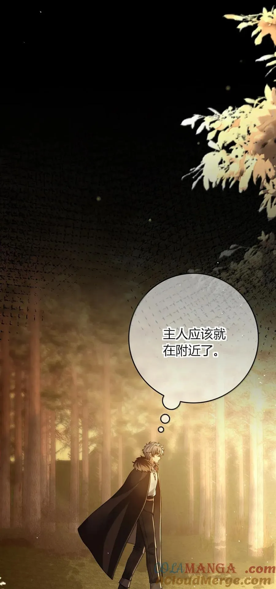 020 禁咒密林 第55页