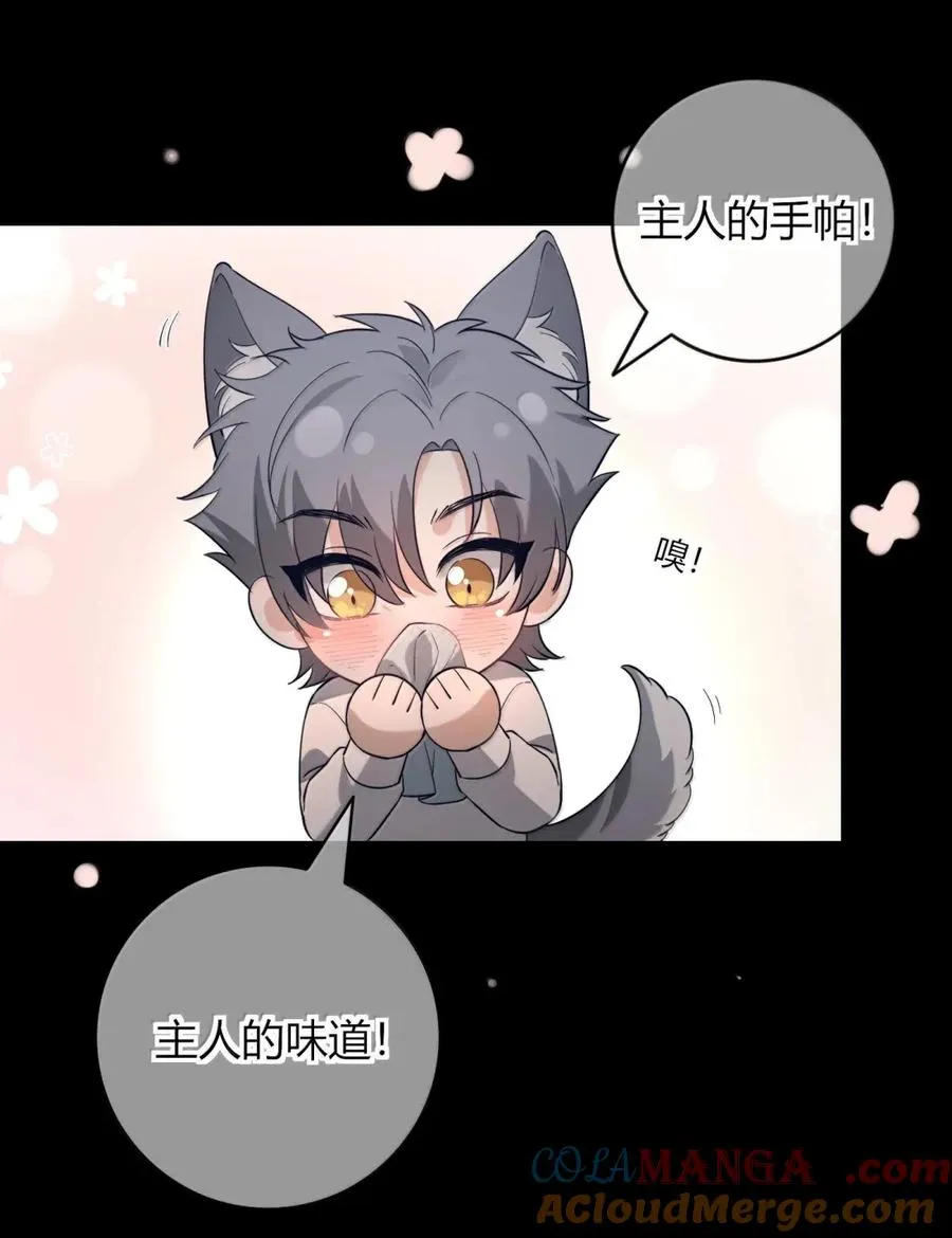 024 当个好国王 第22页