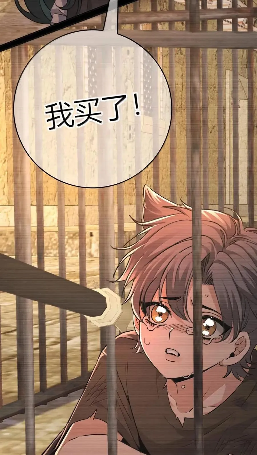 027 我买了 第56页