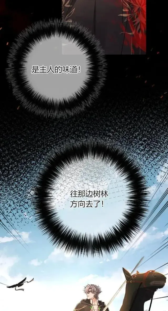 038 真的全部怪我吗？ 第41页
