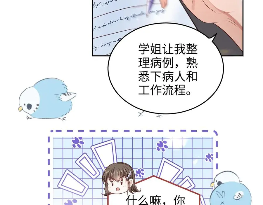 第8话 好好努力吧，小笨蛋 第62页