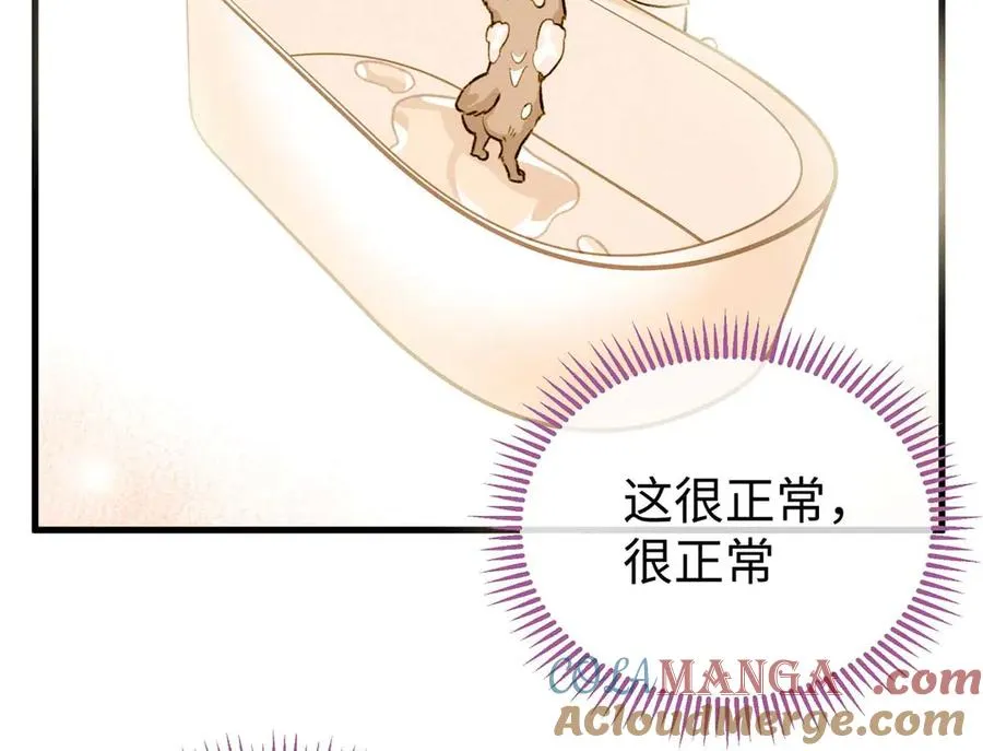 09 不可以这么对待宠物！ 第10页