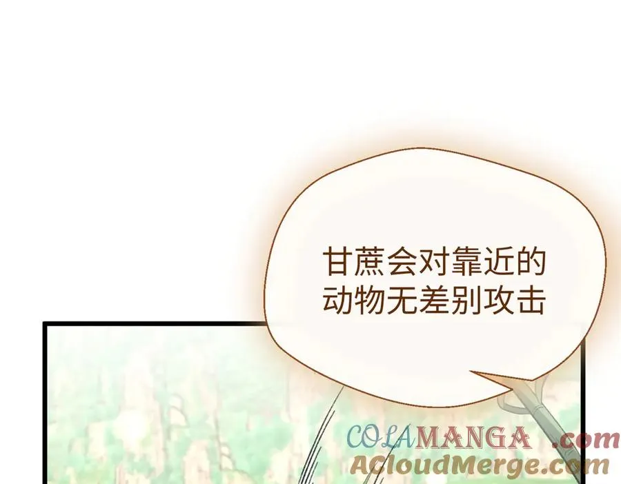 44 果果长大了 第5页