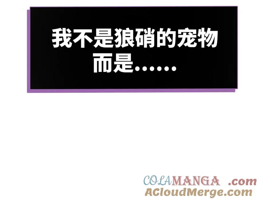 46 不是宠物是伴侣？！ 第69页