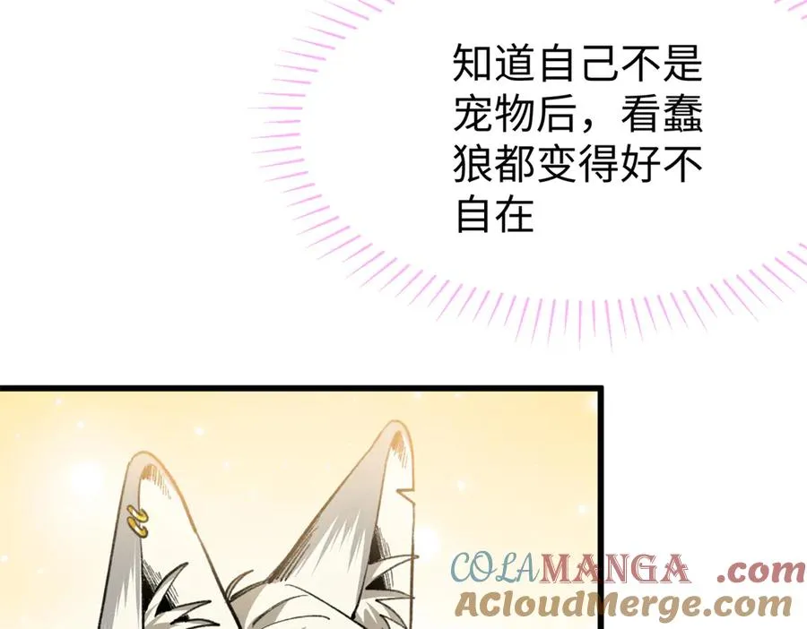 49 继续伪装 第29页
