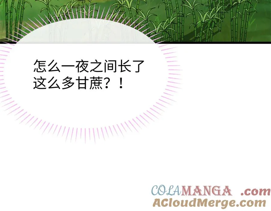 49 继续伪装 第133页