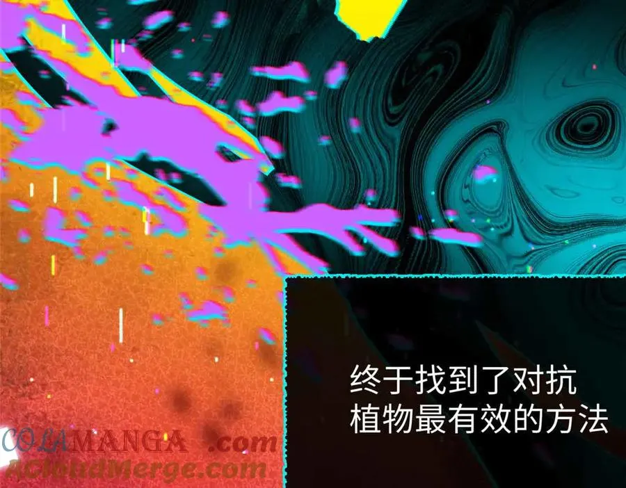 50 祭祀 第33页