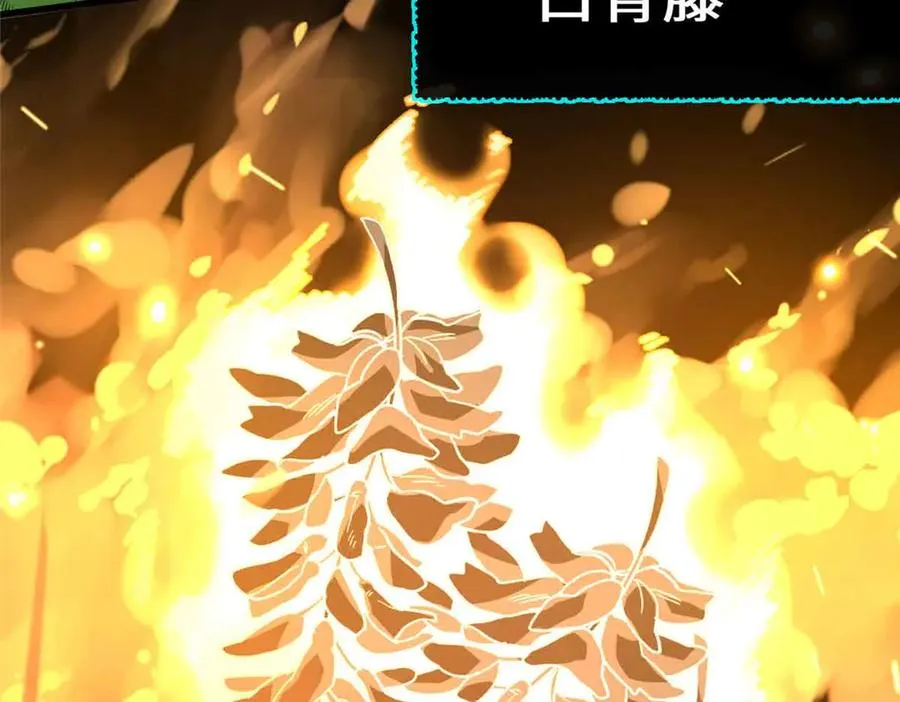 50 祭祀 第46页