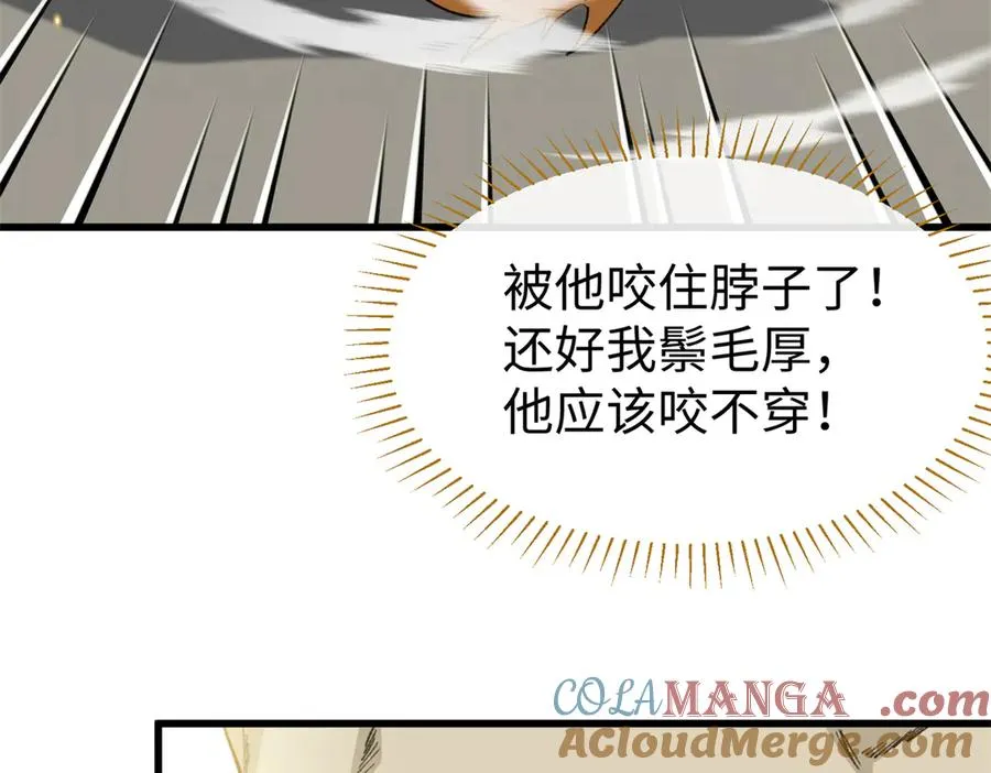 52 观战 第101页