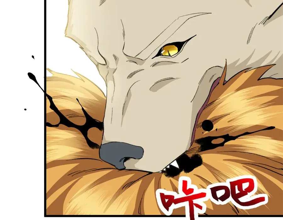 52 观战 第102页