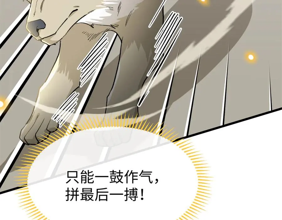 57 元首突破了！ 第50页