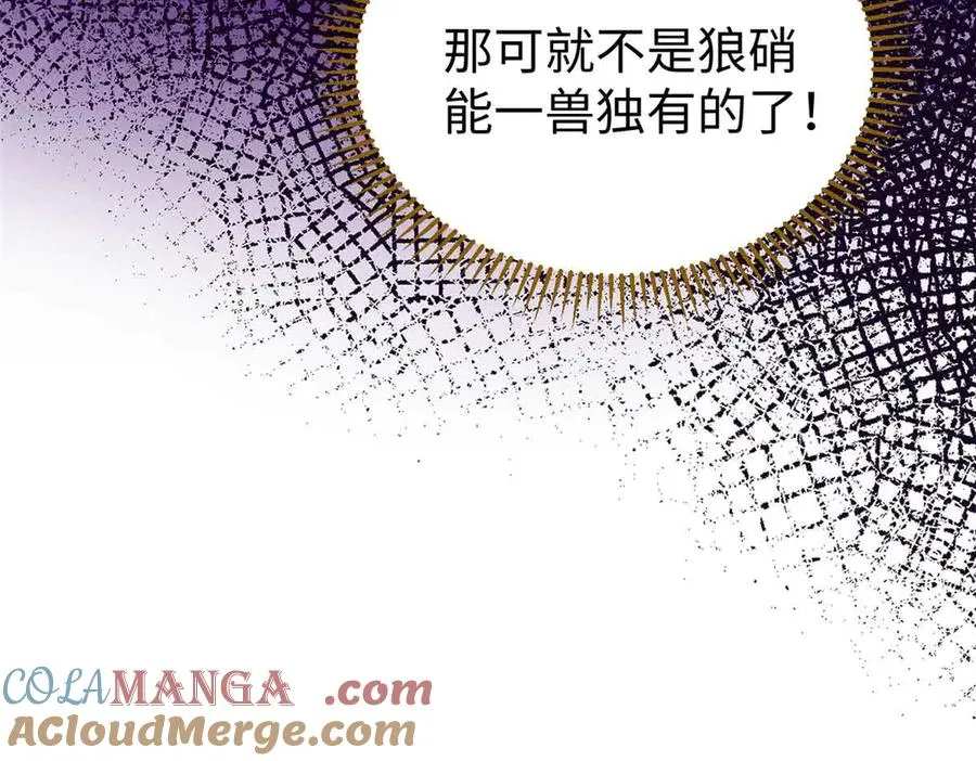 60 元首的试探 第70页