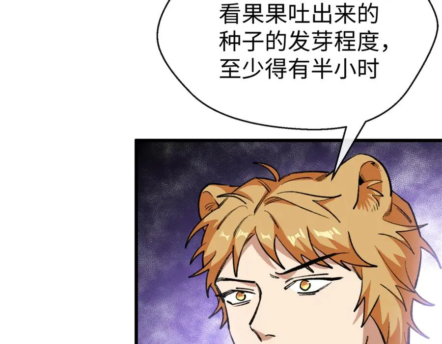 70 喜欢熊 第11页