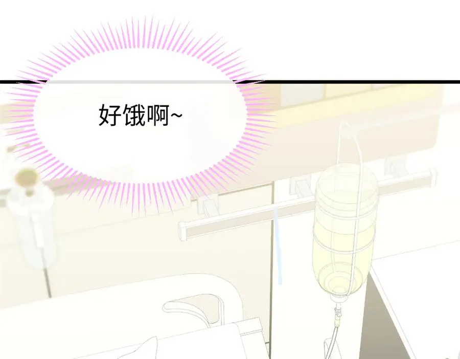 70 喜欢熊 第35页