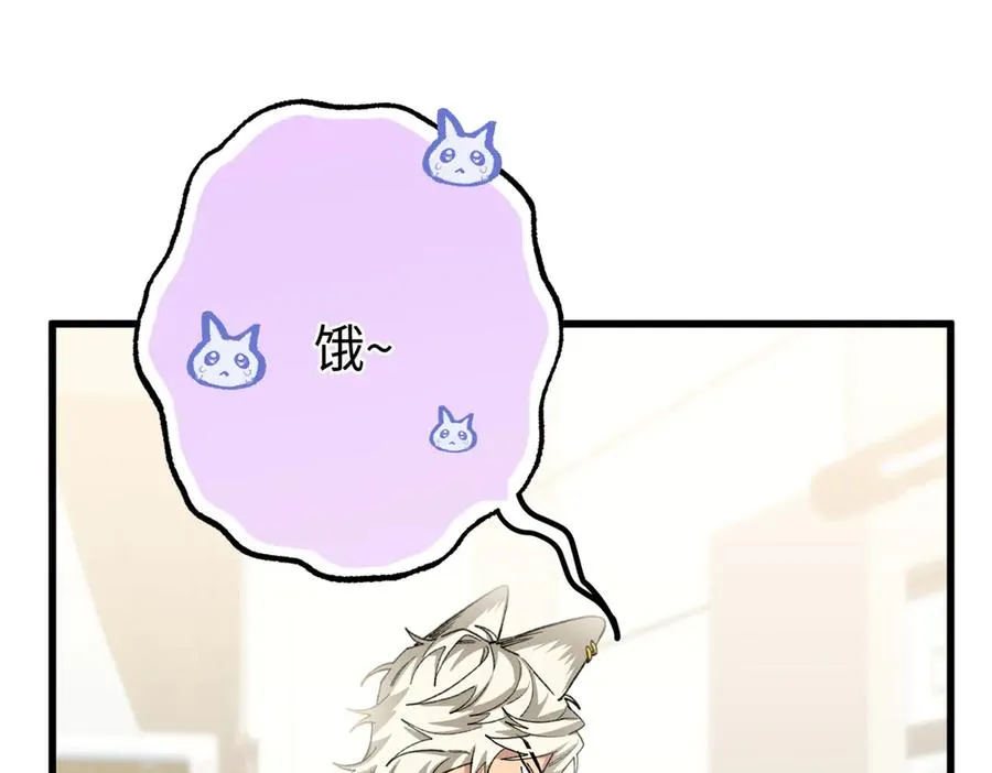 70 喜欢熊 第48页