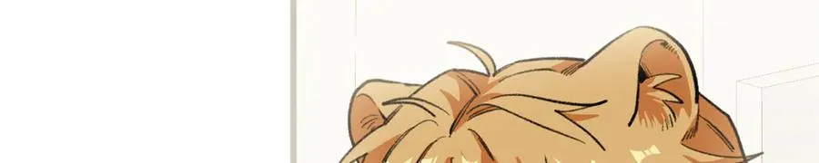 79 打败狮权，当上元首 第10页