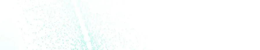 87 球球 第7页