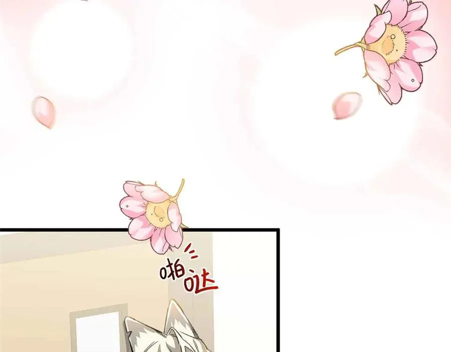 104 白骨藤要死了？！ 第72页