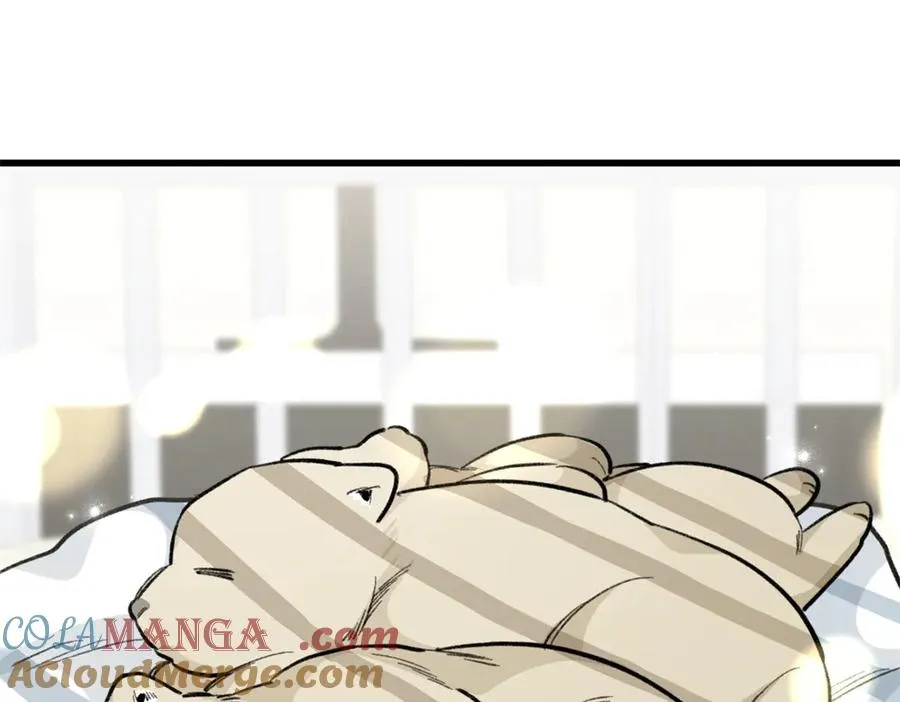 106 我要去见球球 第41页