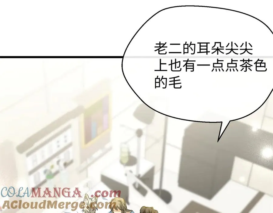 109 普通是最好的保护色 第53页