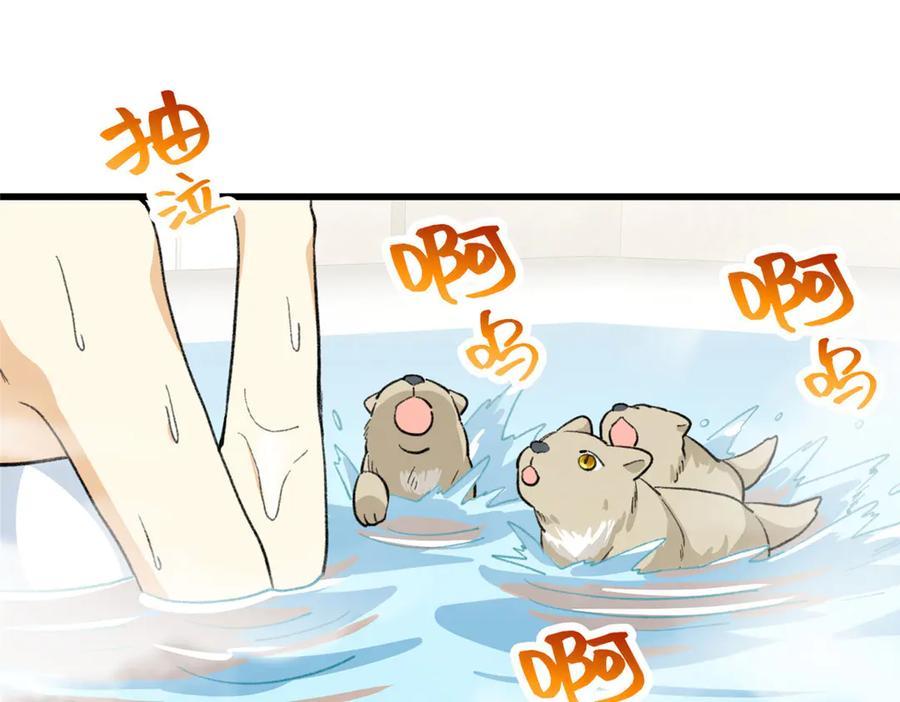 113 我的名字叫白玥 第71页
