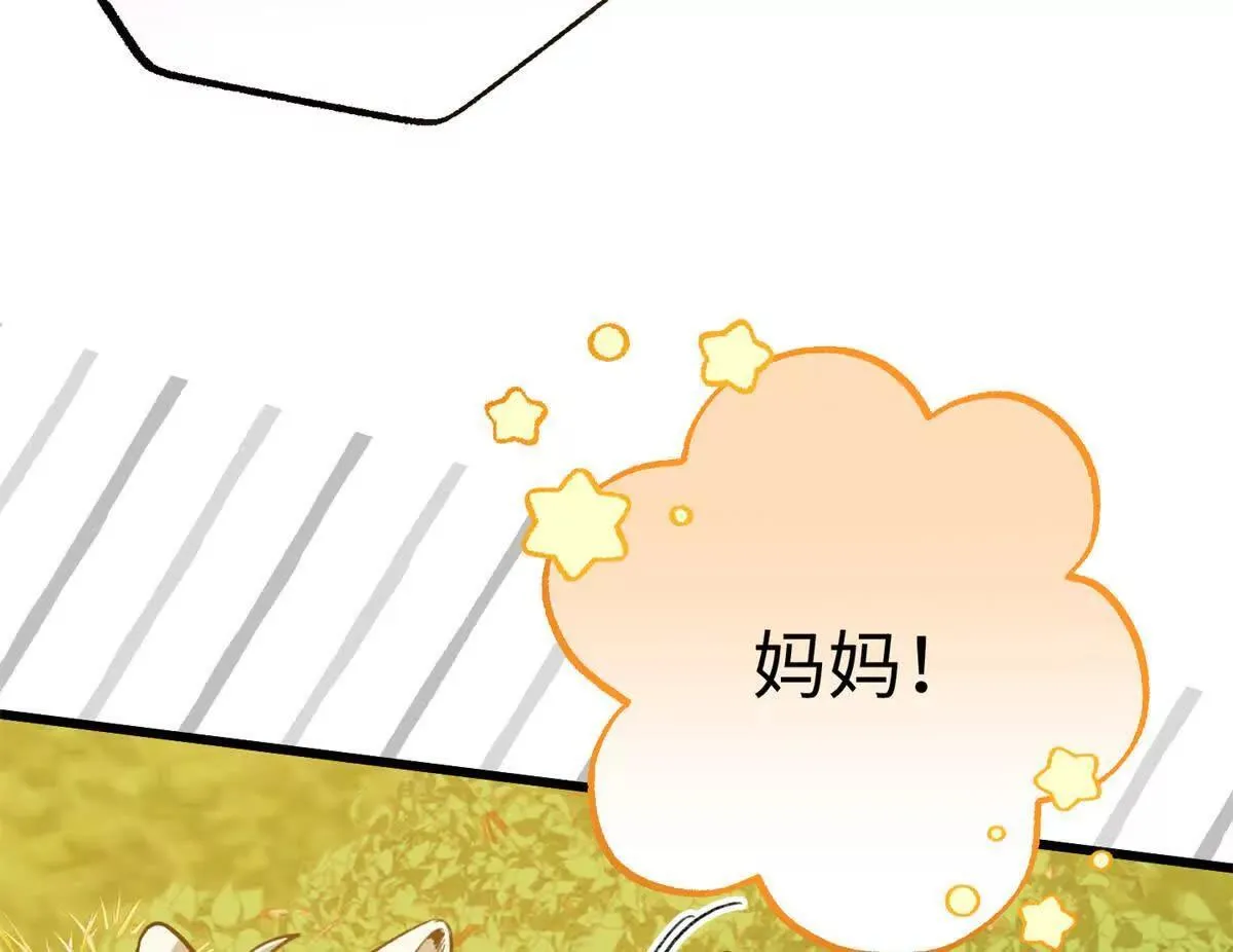 138 暗中守护的球球 第11页