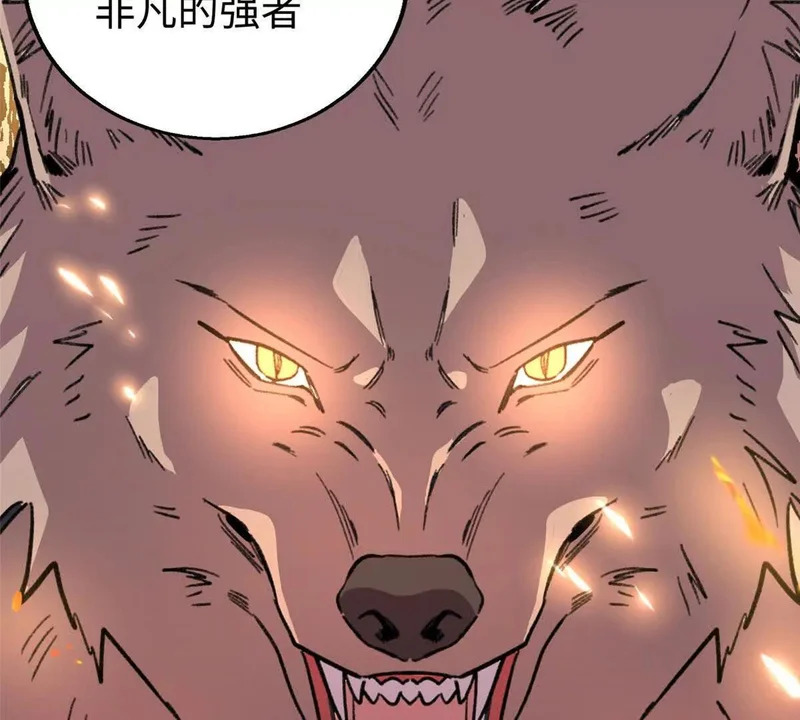 144 熊垚的实力 第84页