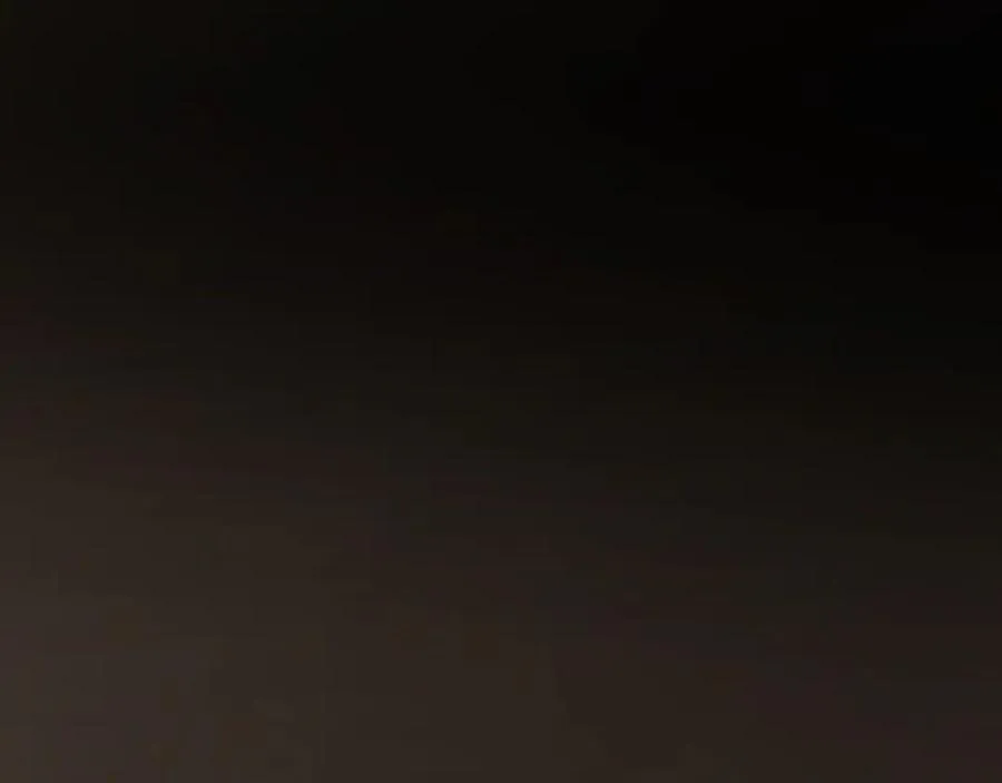 004 奋起反抗 第55页