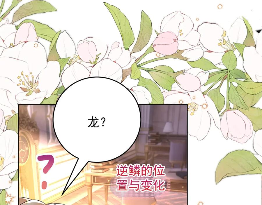 第66话 《龙的种类与习性》 第134页