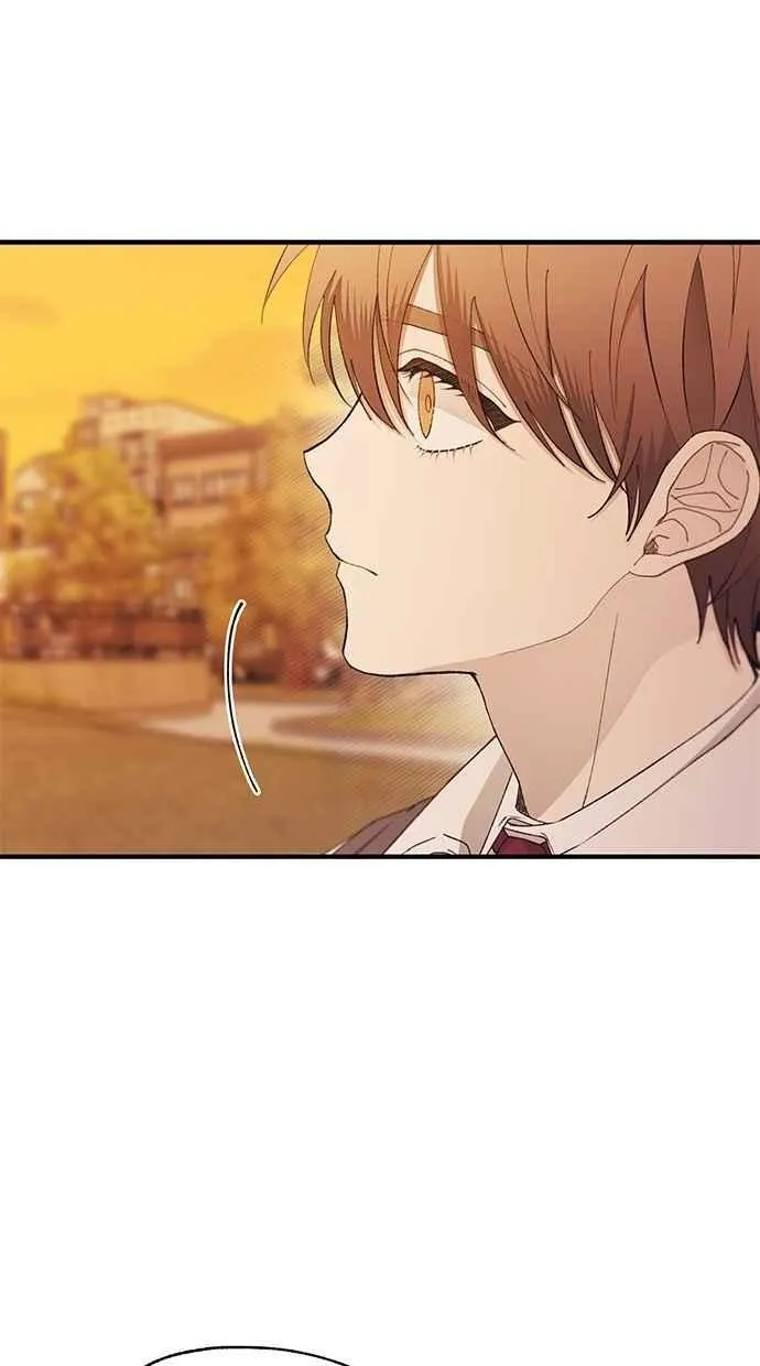 第146话 第24页