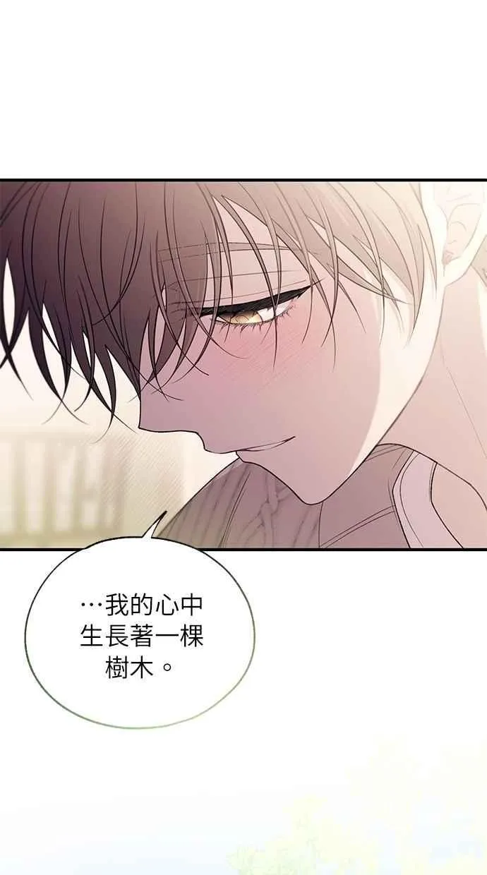 第181话 第41页