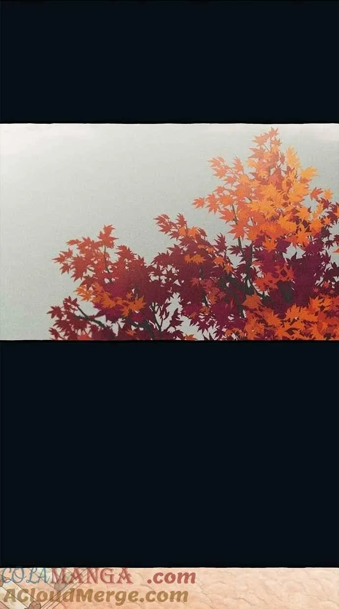 第184话 第31页