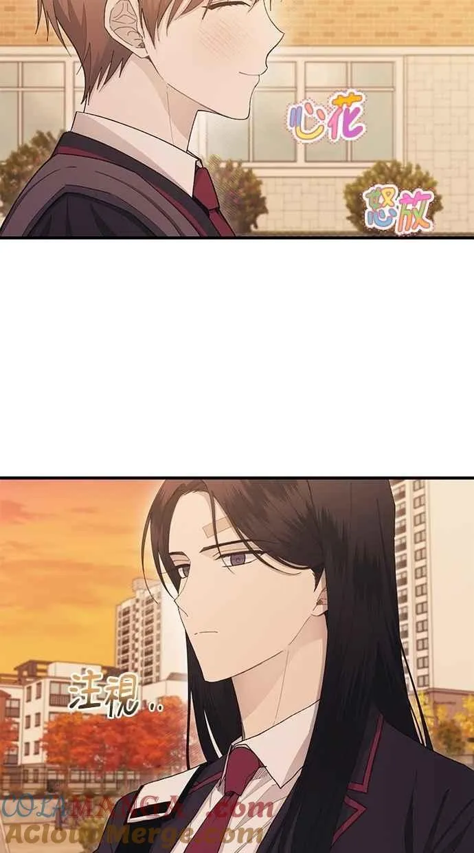 第111话 第49页