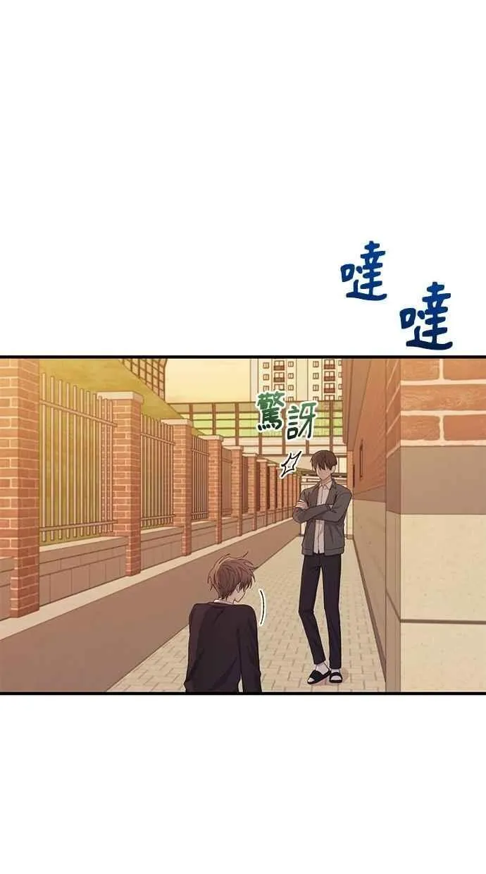 第117话 第42页