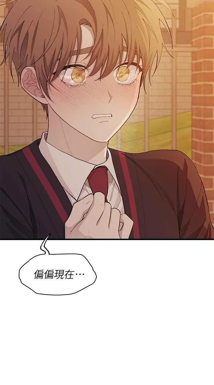 第117话 第72页