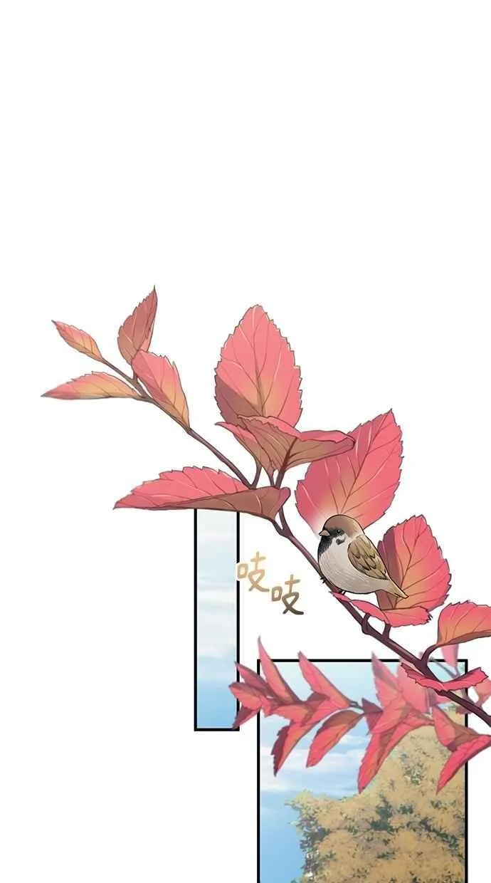 第148话 第41页