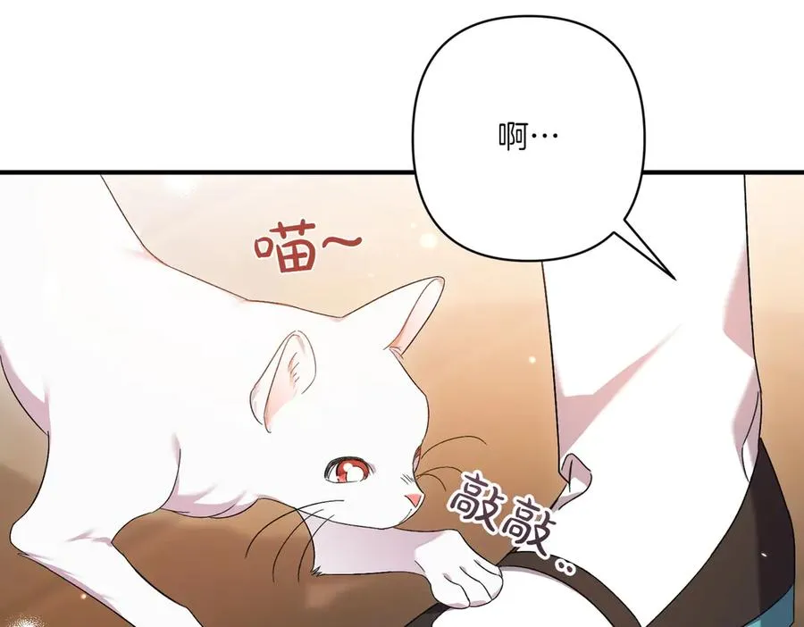 第23话 迂回婉转 第144页