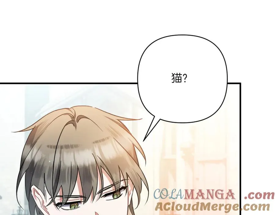 第23话 迂回婉转 第185页