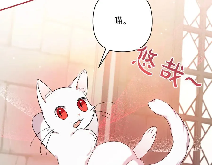 第23话 迂回婉转 第216页