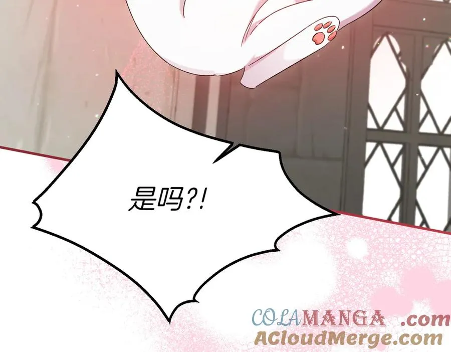 第23话 迂回婉转 第217页