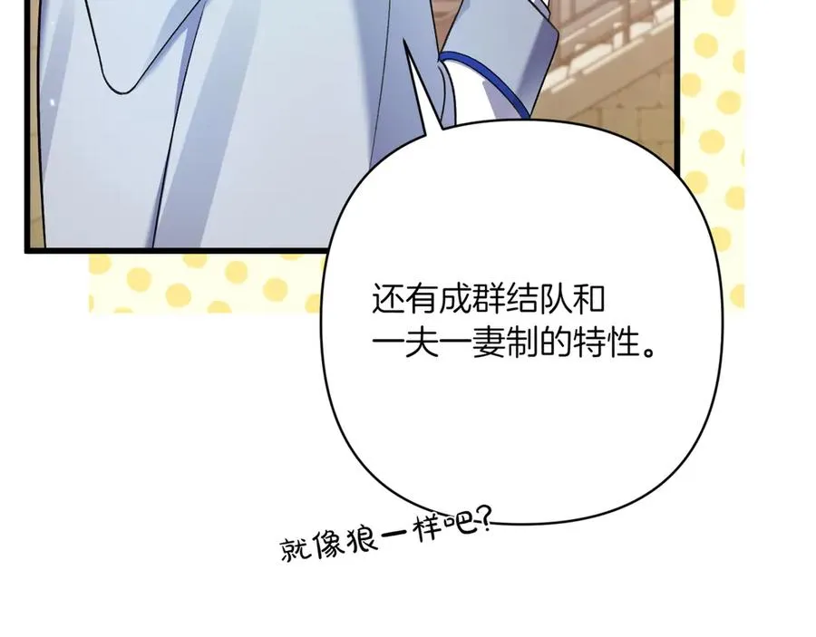 第28话 完美人选 第146页