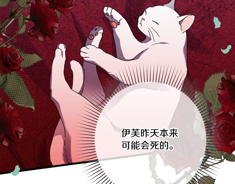 第41话 康复咒语 第66页