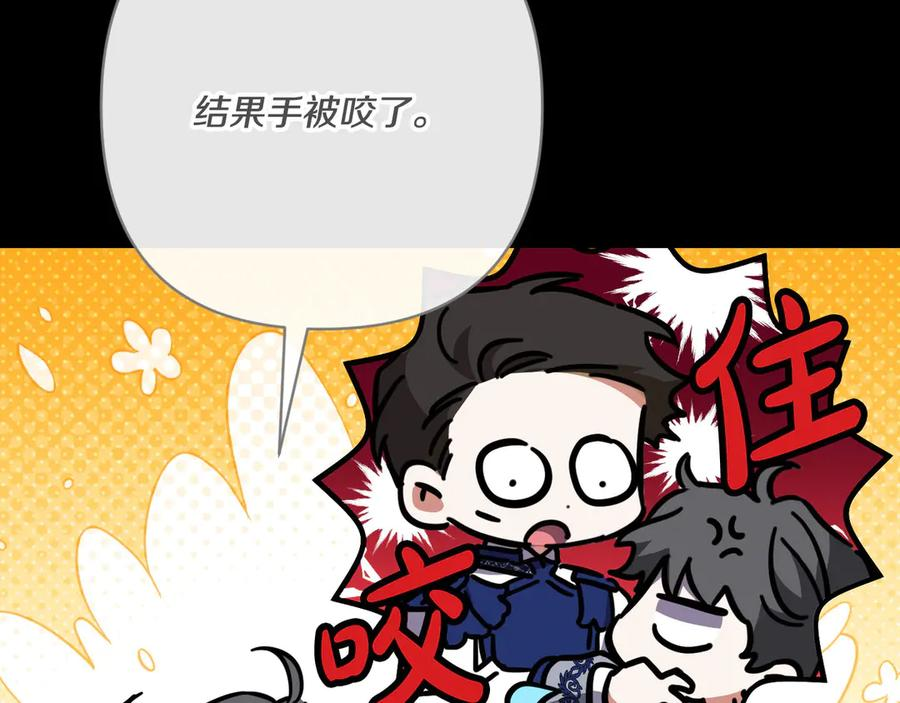 第41话 康复咒语 第207页