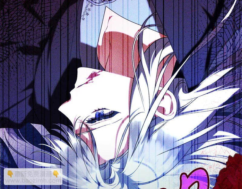 第62话 自请护卫 第217页