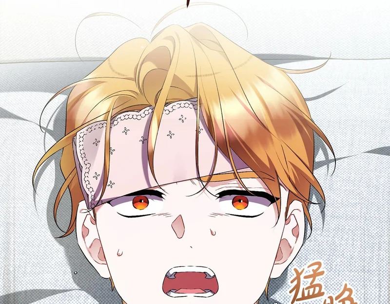 第62话 自请护卫 第229页