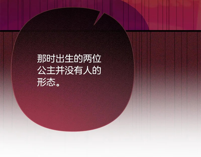 第64话 流星雨 第171页